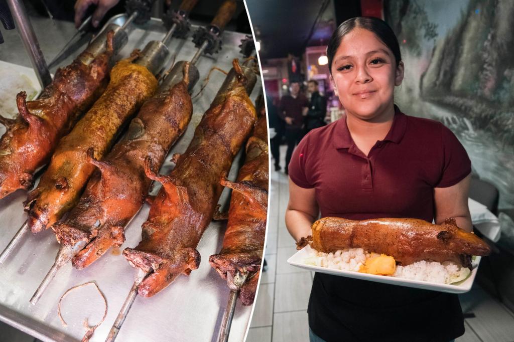 Grilled guinea pigs are this restaurant's shocking specialty - and the locals love it: 'It's better than chicken'