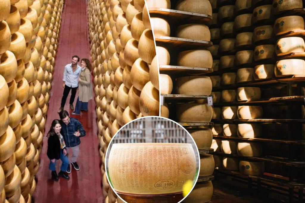 Cheesemakers try sneaky method to fight Parmesan pirates: edible microchips