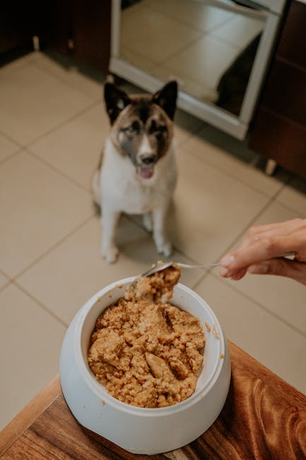 Best Snacks for Dogs